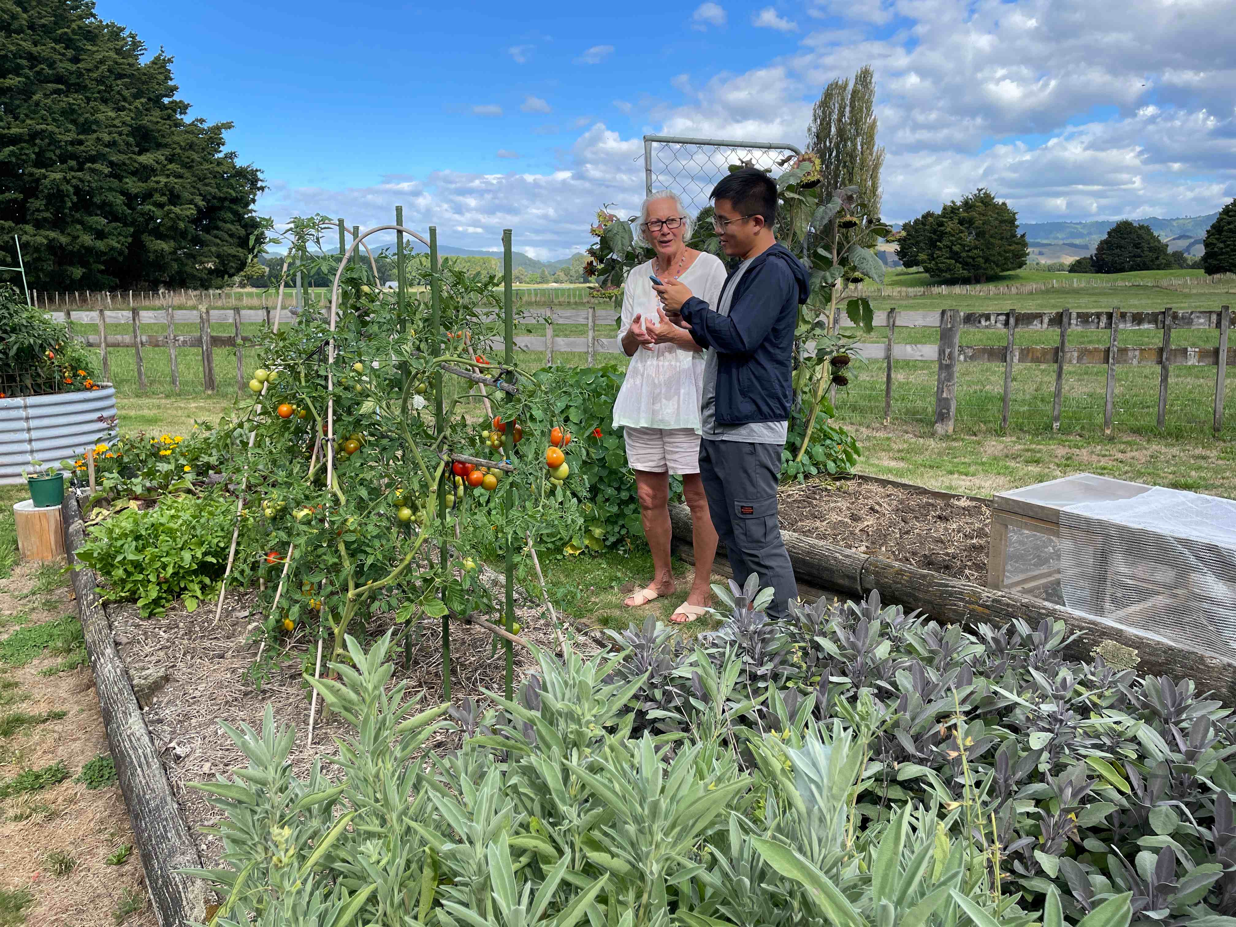 The Garden at Rua Awa Lodge - Visit Ruapehu.jpg